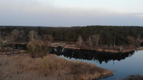 Flight Over Lake Which Surrounded by Forest 스톡 동영상 278680760