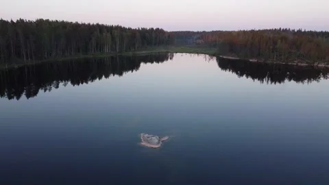 Flight over lakes and forests in Karelia in Russiaat sunset. Stock-Footage 156537539