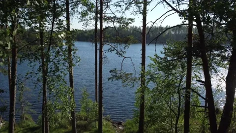 Flight over lakes and forests in Karelia in Russia at sunset. Stock-Footage 157832373