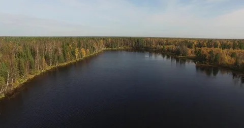 Flight over landscape with lush green foliage Stock Footage 73332540