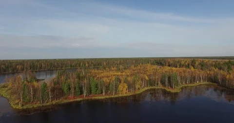 Flight over landscape with lush green foliage Stock Footage 73332653