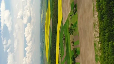 Flight over the landscapes of Ukrainian fields and forests. Stock-Footage 234221028