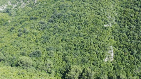 Flight over a large canyon in the middle of the mountains Stock Footage 136257484
