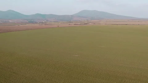 Flight over a large field under a hill on a rainy day Video stock 150380433