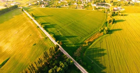 Flight Over a Large Green Field Stock-Footage 64055901