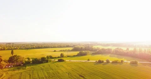 Flight Over a Large Green Field Stock-Footage 64055907