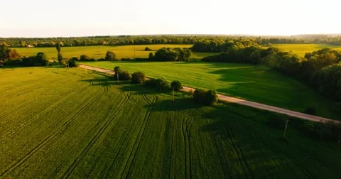 Flight Over a Large Green Field and Road Stock-Footage 64227961