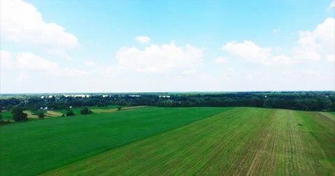 Flight Over a Large Green Field in the Village Stock Footage 64925123