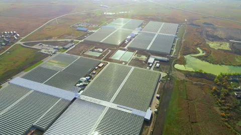 Flight over a large greenhouse complex. Industrial greenhouses for growing Stock Footage 137867370