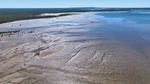 Flight over the luminous dazzling Great Sandy Strait estuary at low tide Stock Footage 316877279