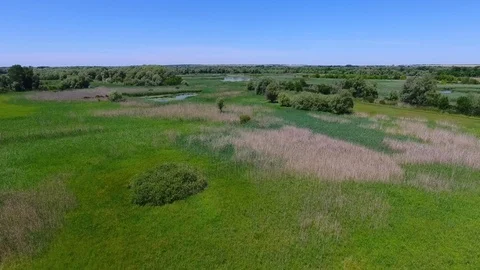 Flight over marsh fields covered with reeds Stock Footage 83723081