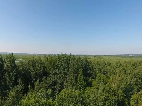 Flight over the marsh at low altitude Stock Footage 70347176