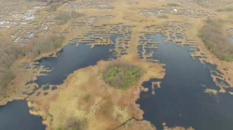 Flight over the marsh in spring Stock Footage 63084536