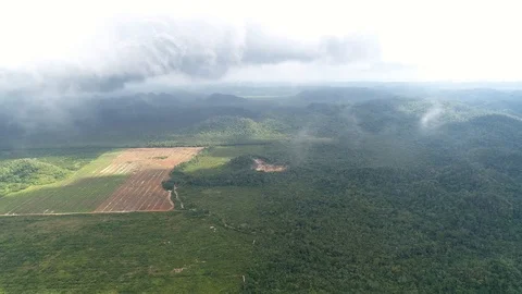 Flight over Mayan Mountains in Central American Jungles 스톡 동영상 122696237