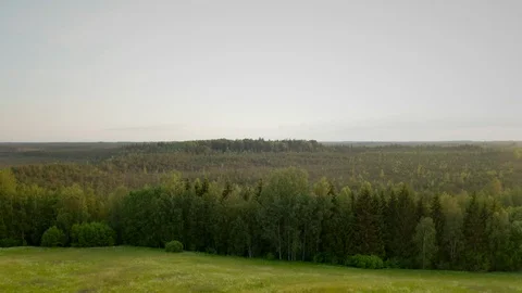 Flight over the meadow and forest Stock Footage 111414908