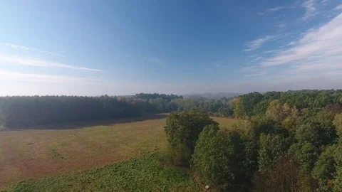 Flight over a meadow Stock Footage 71060744