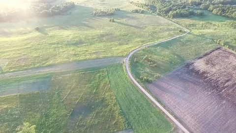 Flight over meadow Stock Footage 99118706