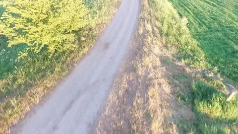 Flight over meadow Stock Footage 99118731