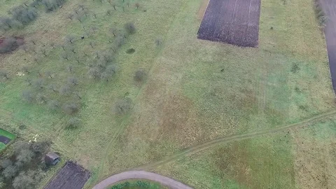 Flight over meadow Stock Footage 99118743