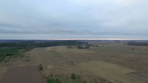 Flight over meadow Stock Footage 99118754