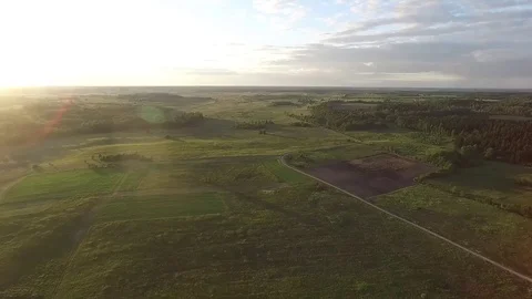 Flight over meadow Stock Footage 99118759