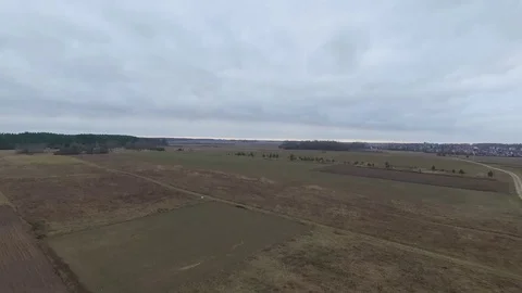 Flight over meadow Stock Footage 99118763