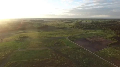 Flight over meadow Stock Footage 99118813