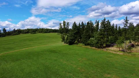 Flight over a meadow Stock Footage 156817032