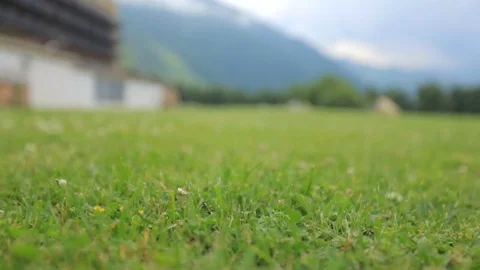 Flight over a meadow with green grass. Georgia, Kazbegi Stock Footage 78053214