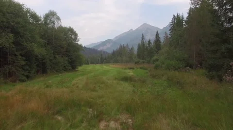 A flight over a meadow by the mountains Video stock 63782870