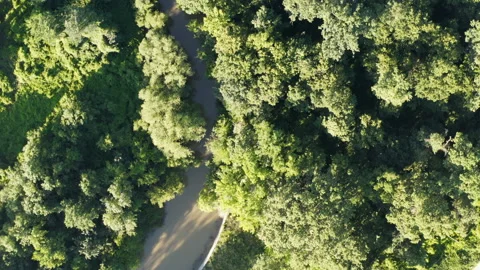 Flight over meanders of a small river Stock Footage 135860543