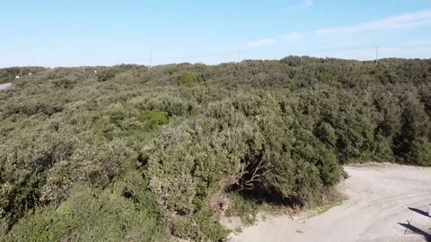 Flight over the Mediterranean forests Stock Footage 146851372