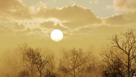 Flight over the misty forest during a beautiful sunset. Stock Footage 230180447