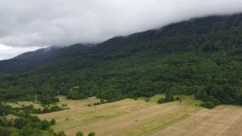 Flight over the misty forest Video stock 158172170