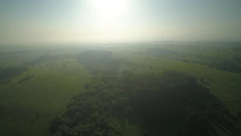 A flight over the misty woods Stock Footage 119260221