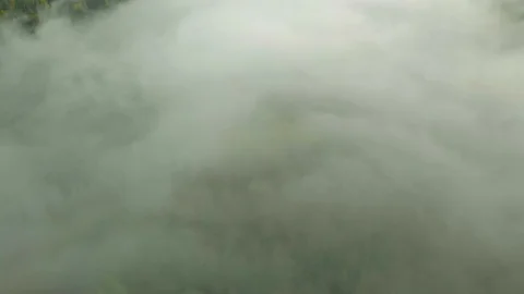 Flight over morning mist in a river valley Stock Footage 115911684