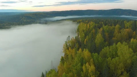 Flight over morning mist in a river valley Stock Footage 115911741