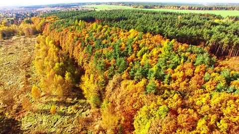 Flight over mountain forest. Nature from above. Stock Footage 71930800