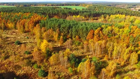 Flight over mountain forest. Nature from above. 스톡 동영상 71931828