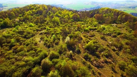 Flight over mountain forest. Nature from above. Video stock 106927060