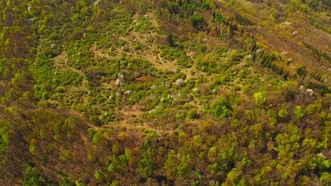 Flight over mountain forest. Nature from above. Video stock 106934244