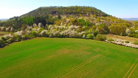Flight over mountain forest. Nature from above. Video stock 106934781
