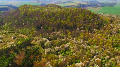 Flight over mountain forest. Nature from above. Video stock 106934919