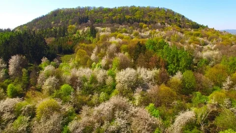 Flight over mountain forest. Nature from above. Stock Footage 107073162