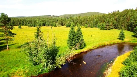 Flight over mountain forest. Nature from above. Stock Footage 113409983