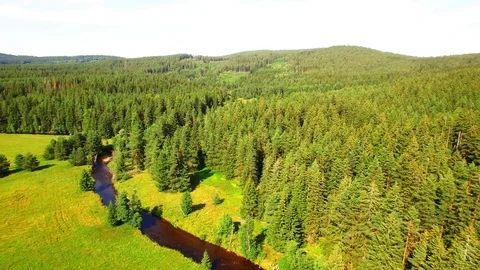 Flight over mountain forest. Nature from above. Stock Footage 113409984