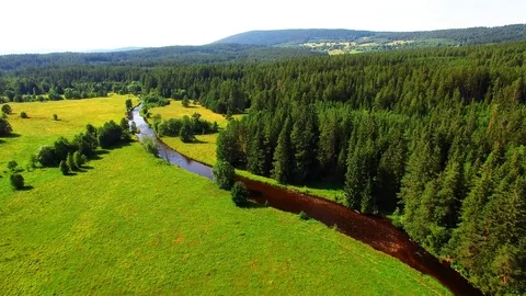 Flight over mountain forest. Nature from above. Stock Footage 113410741