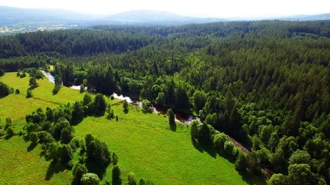 Flight over mountain forest. Nature from above. Stock Footage 113411164