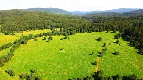 Flight over mountain forest. Nature from above. Stock Footage 113411318