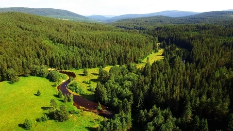 Flight over mountain forest. Nature from above. Stock Footage 113412028
